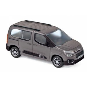 voiture minibus grise