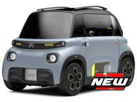 petite voiture electrique française gris