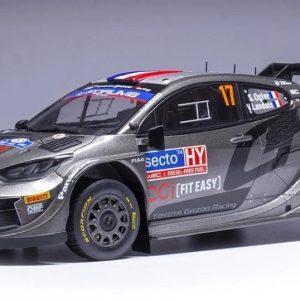 voiture de rallye grise