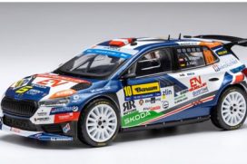 voiture de rallye blanche et bleu