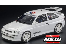 vieille voiture de rallye blanche