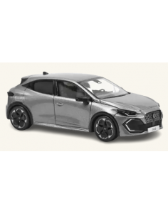 voiture française grise