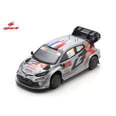 voiture de rallye grise