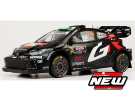 vouiture de course rallye noire