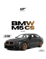 voiture berline de sport grise