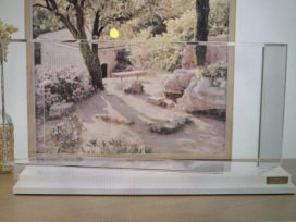 boite vitrine blanche