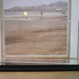 boite vitrine noire