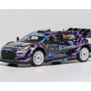 voiture de course de rallye mauve